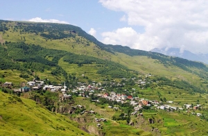 Шамильский район